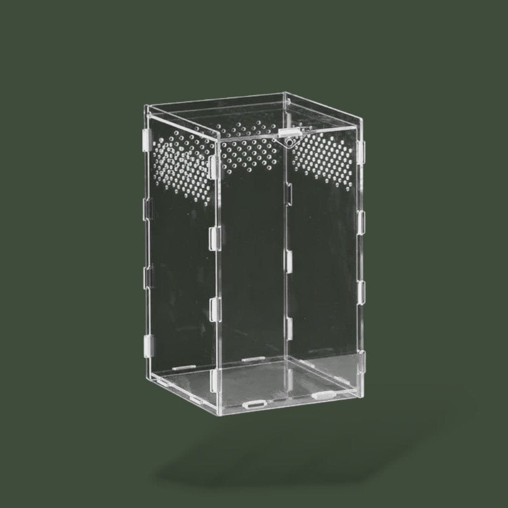 Boîte verticale en acrylique ventilée pour reptile