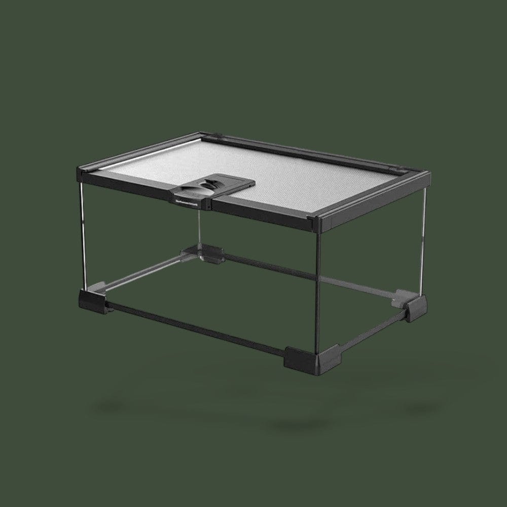 Terrarium grand pour gecko léopard