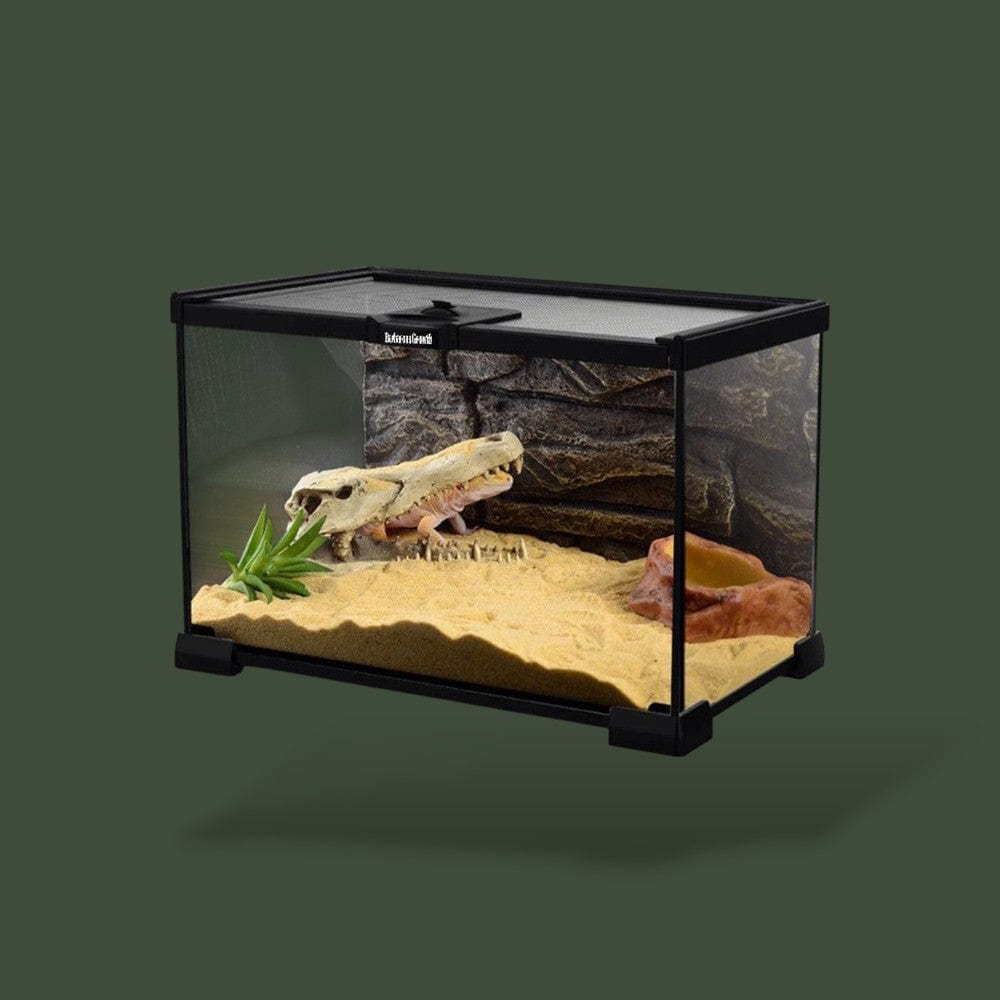 Terrarium grand pour gecko léopard