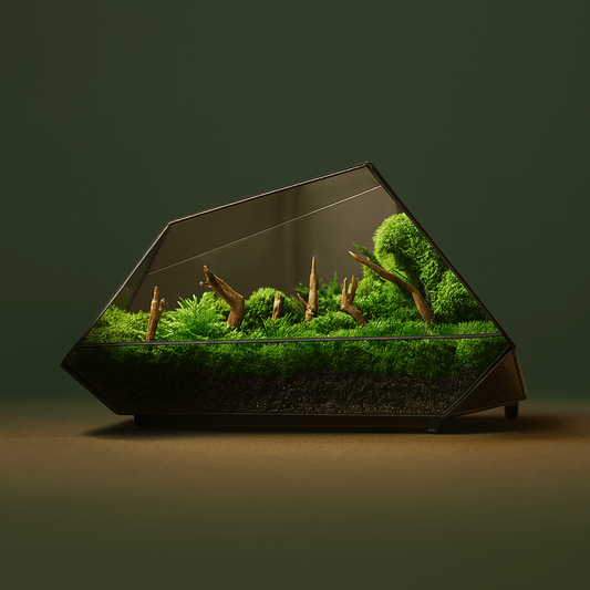 Grand terrarium géométrique pour plante