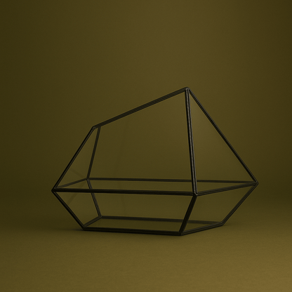 Terrarium géométrique grand pour plante