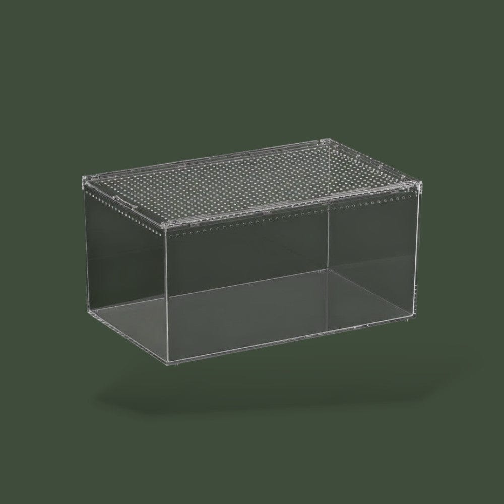 Boîte grande ventilée en acrylique pour reptile