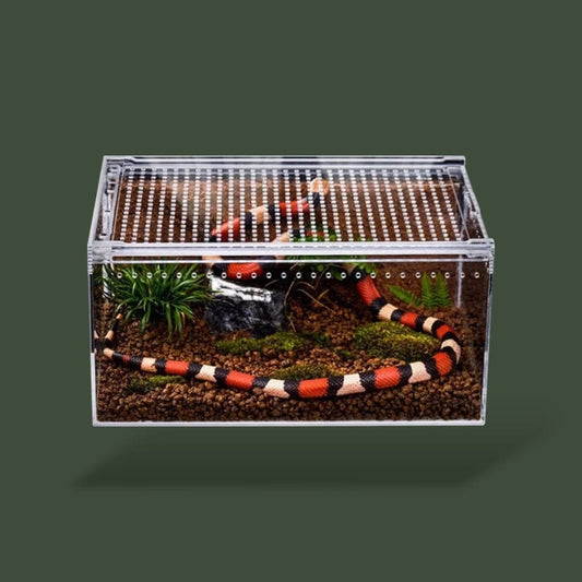 Boîte grande ventilée en acrylique pour reptile
