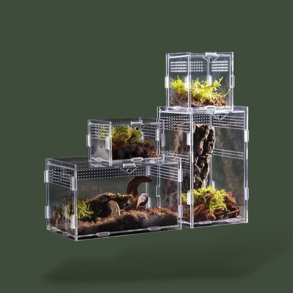 Terrarium ventilée en acrylique pour reptile