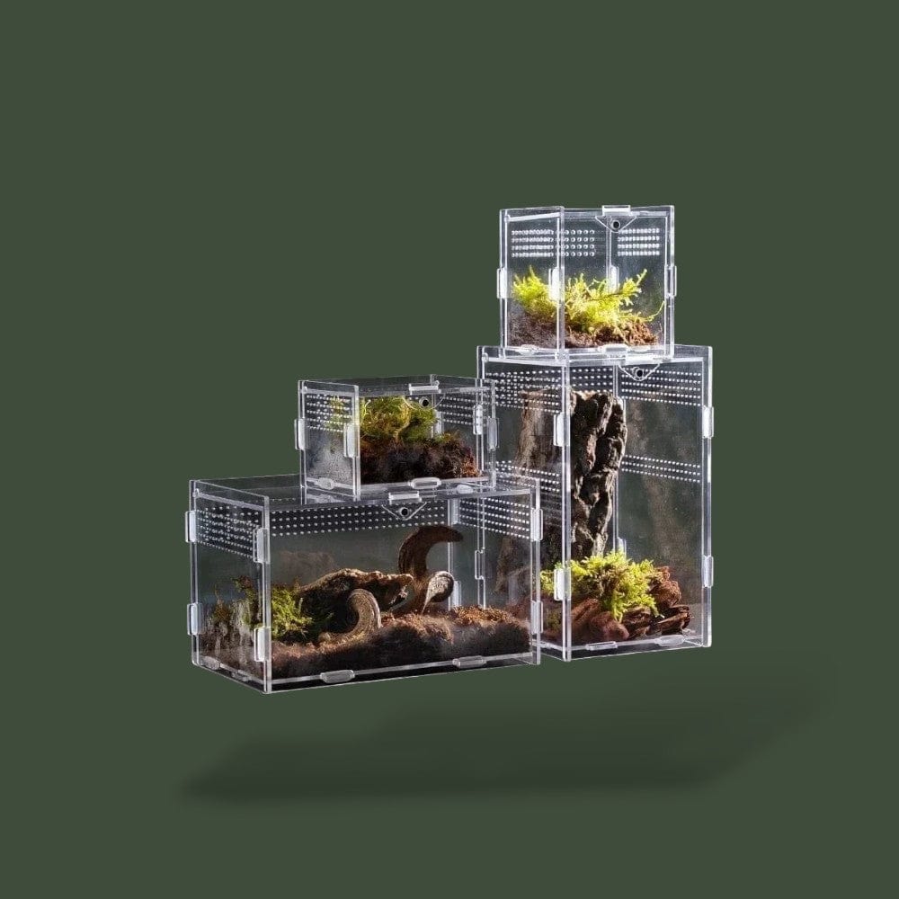 Habitat pour tortue terrestre ventilée