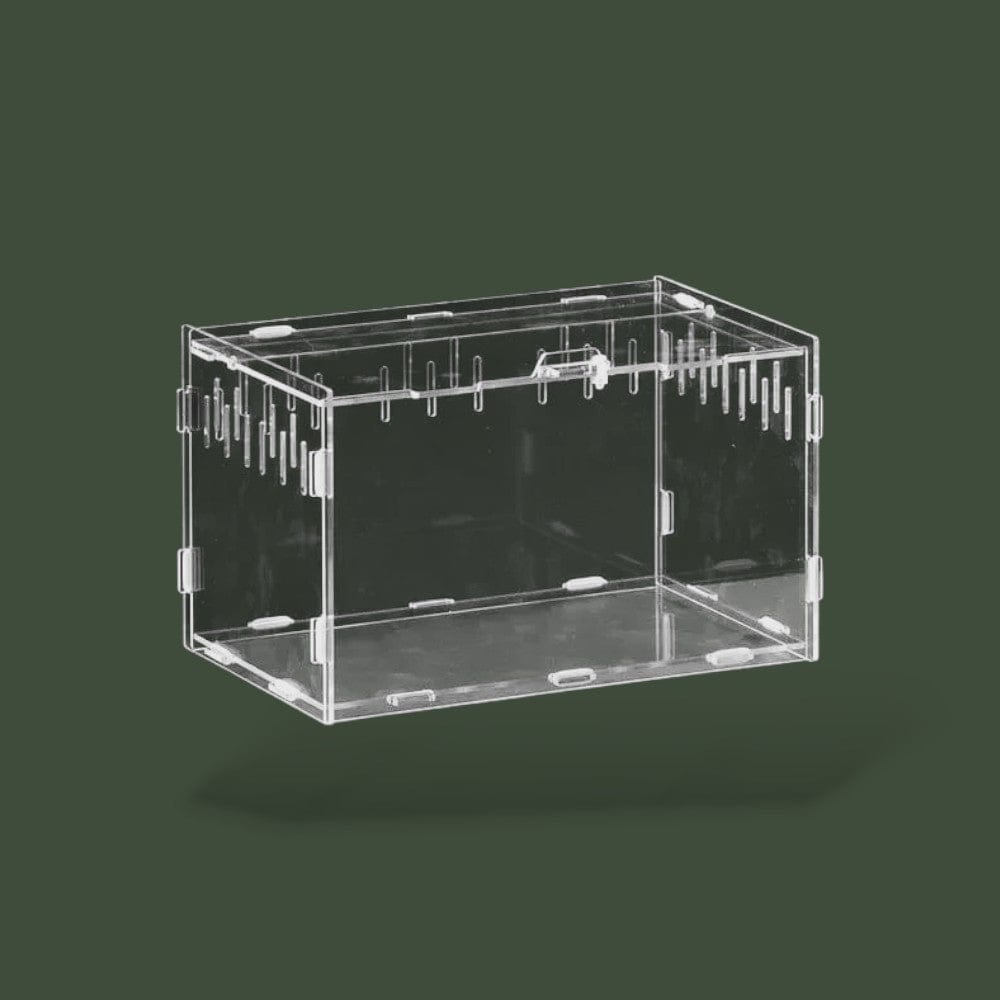 Habitat pour tortue terrestre ventilée