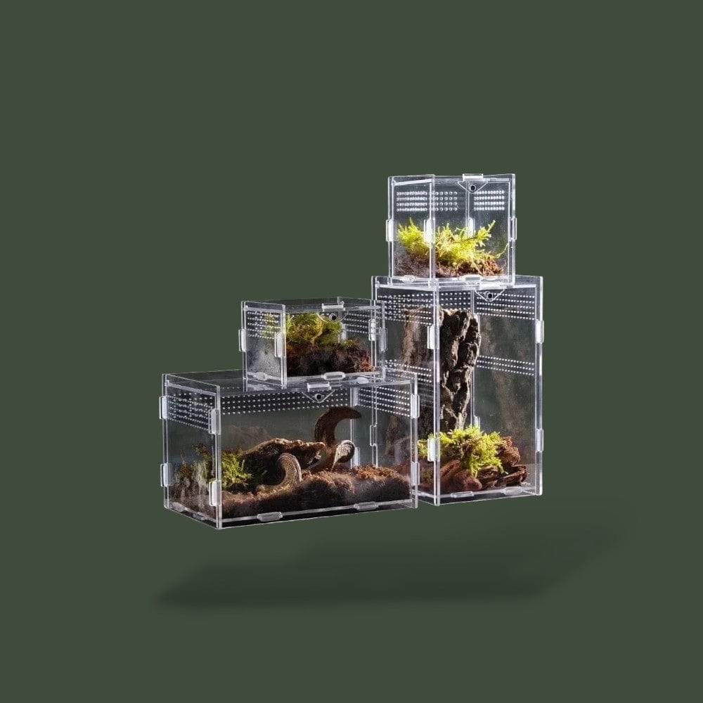 Terrarium grand ventilée en acrylique