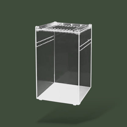 Terrarium pour serpent en acrylique