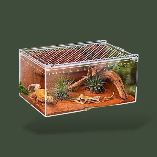 Terrarium pour serpent en acrylique