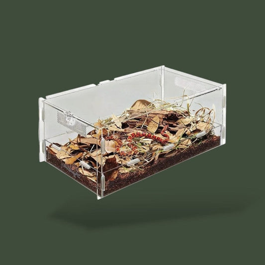 Terrarium avec hygromètre en acrylique