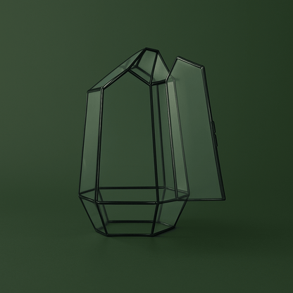 Bocal terrarium design pour plantes