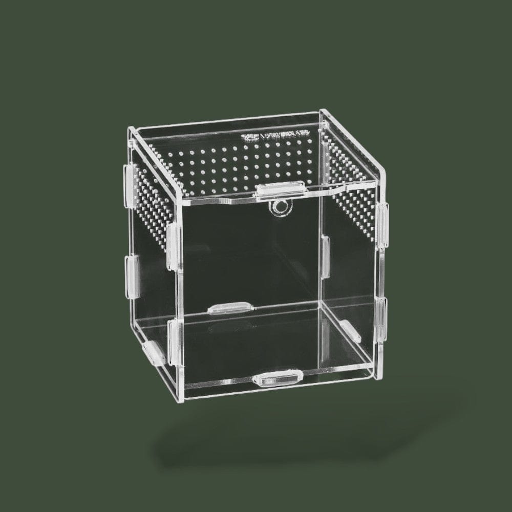 Terrarium mini ventilée