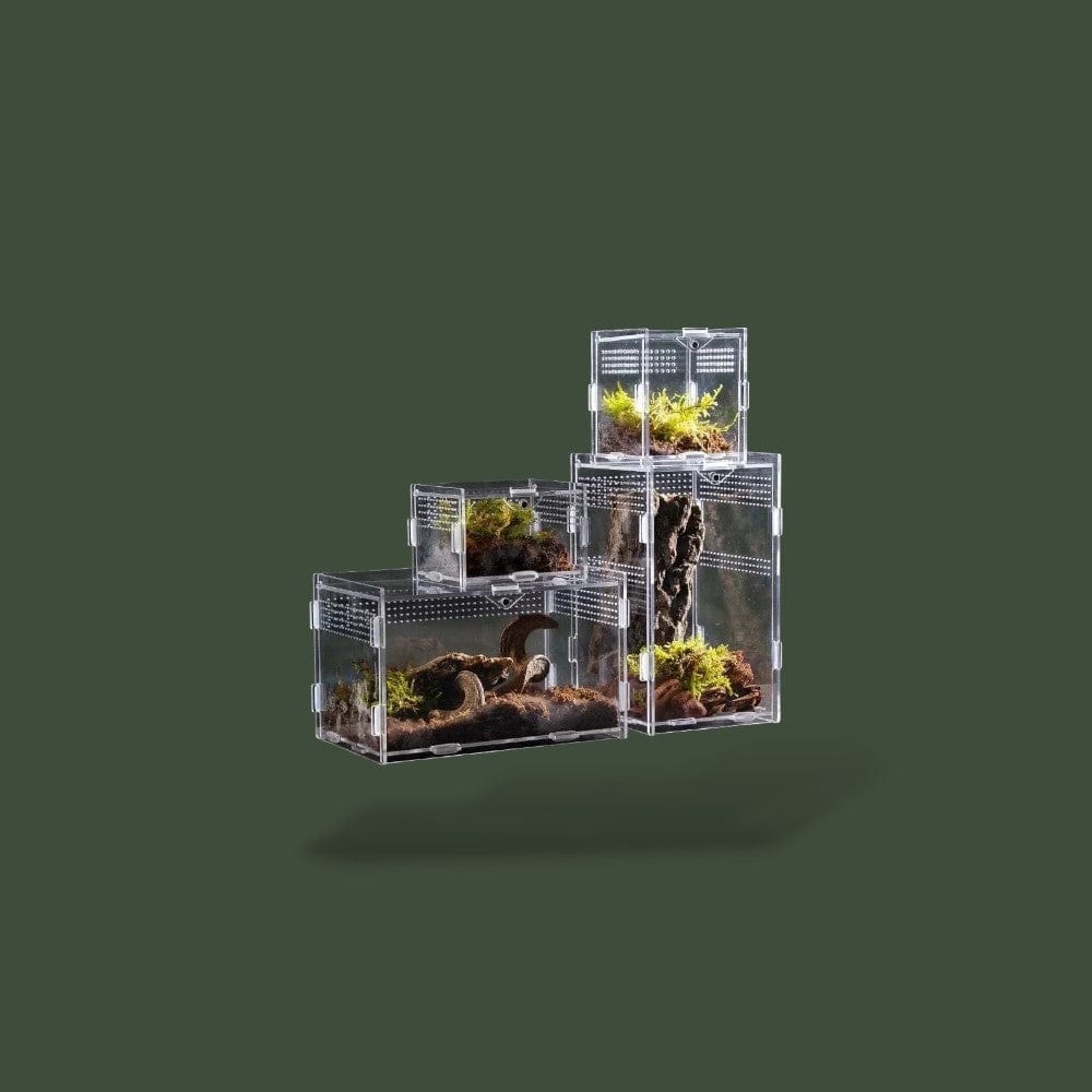 Habitat en acrylique ventilée pour reptile