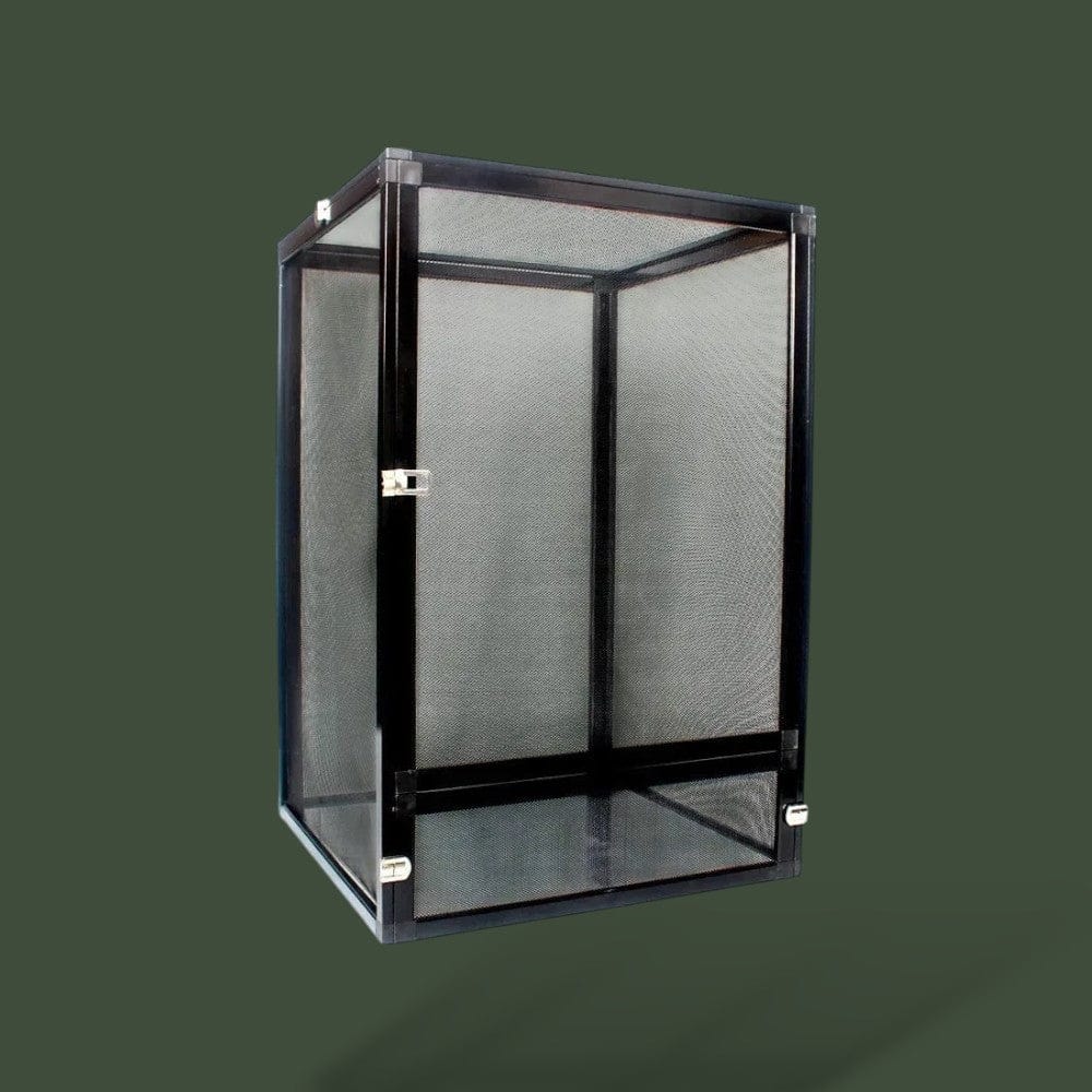 Terrarium noir petit pour reptiles