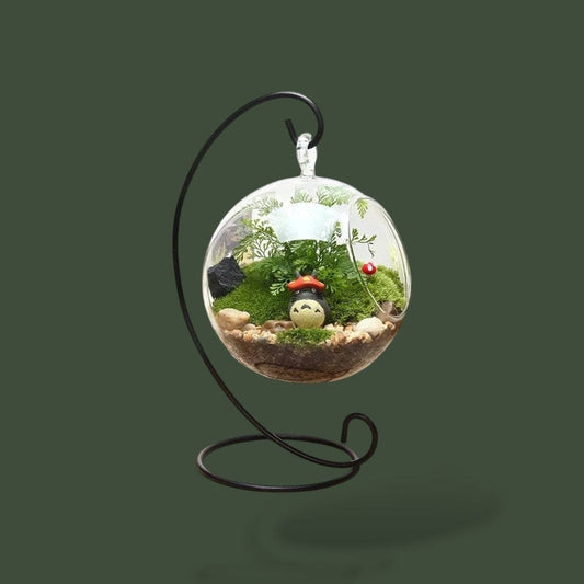 Terrarium suspendu en verre
