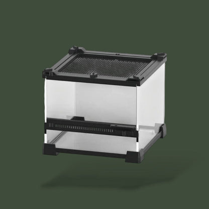 Terrarium transparent en verre pour reptile