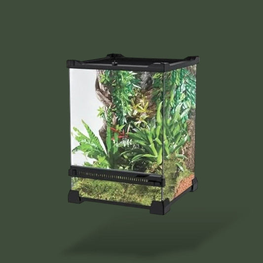Terrarium transparent en verre pour reptile